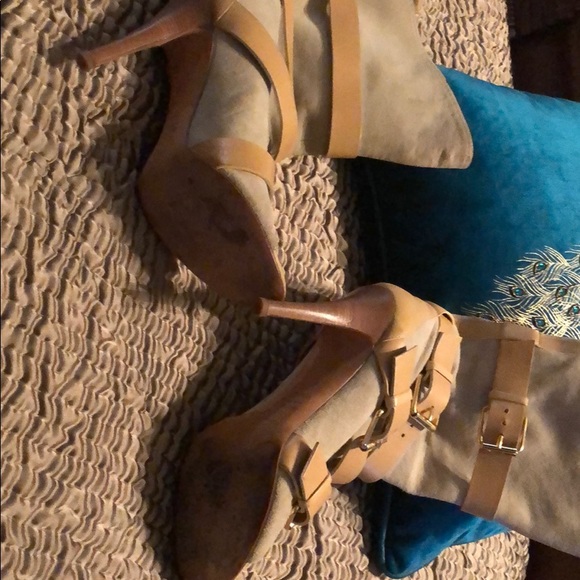 Giuseppe Zanotti - Picture 5 of 7